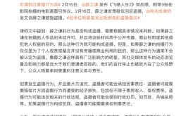 VAR判罚再引争议，莫德里奇对阵泰山裁判判点引发巨大争议的简单介绍